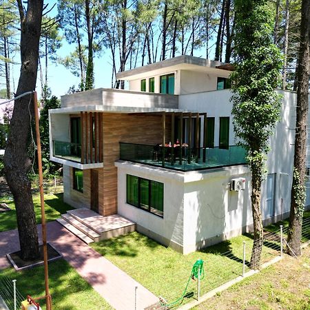 Pine Aparthotel Шекветили Экстерьер фото